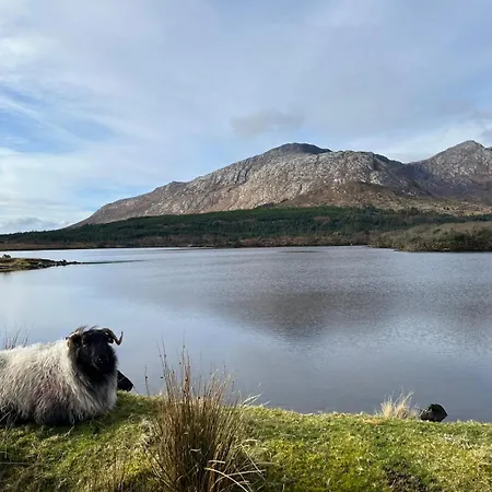 River View Kwatera prywatna Easkey