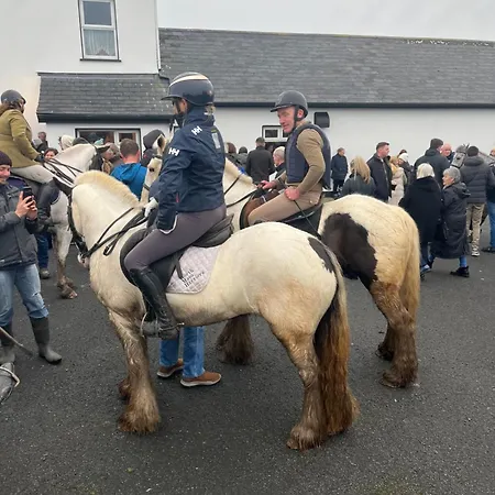 River View Kwatera prywatna Easkey