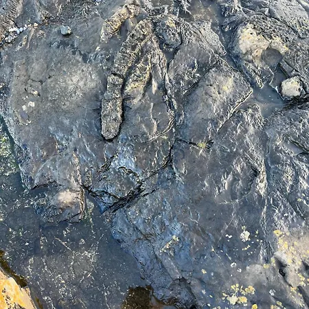 Kwatera prywatna River View Easkey