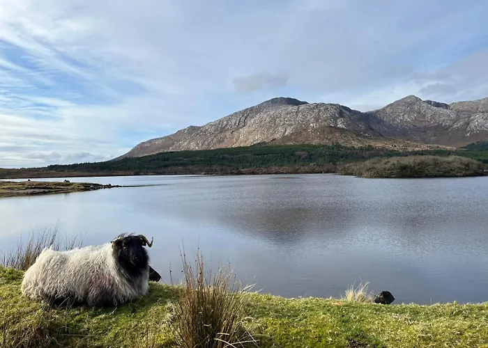 River View Homestay Easkey