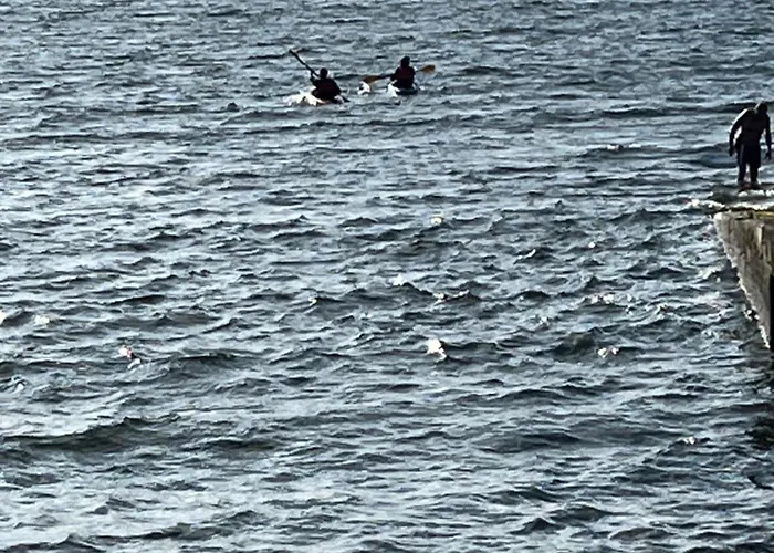 Проживание в семье River View