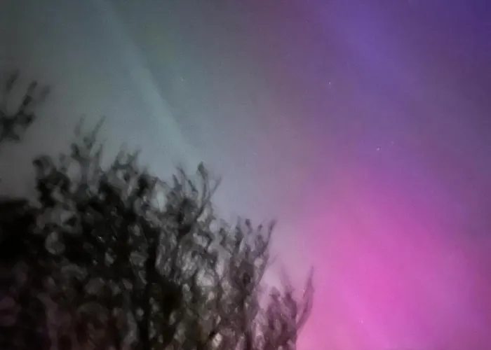 River View Проживание в семье *