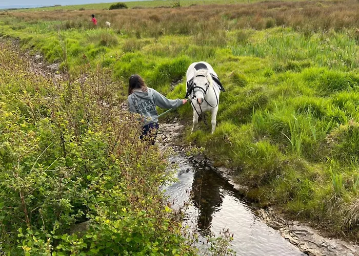River View Проживание в семье