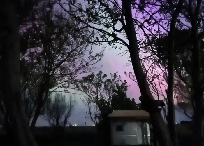 River View Homestay *