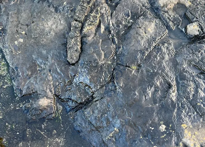 Проживание в семье River View Easkey