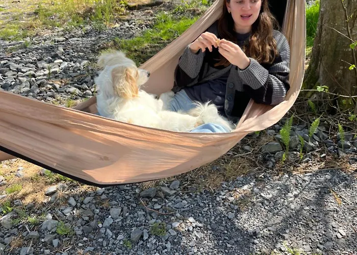 River View Homestay Easkey